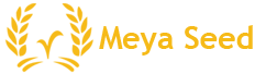 Meya Seed