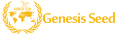 Genesis Seed