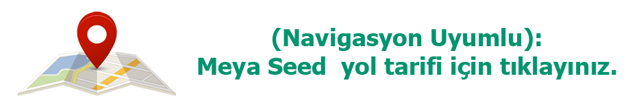 Meya Seed - Navigasyon ile ulaşım, Yol Tarifi